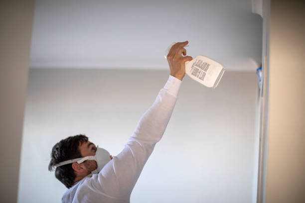 Best Mold Remediation  in Compton, CA