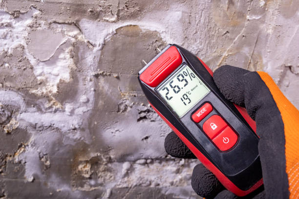 Best Professional Mold Removal  in Compton, CA