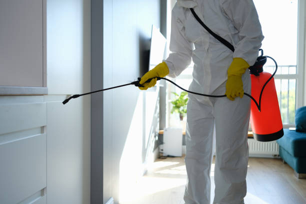 Best Office Mold Removal Services  in Compton, CA