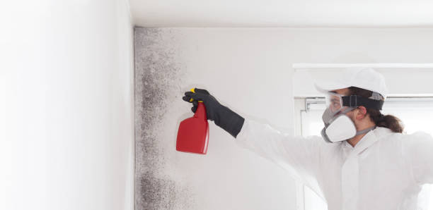 Professional Mold Removal in Compton, CA