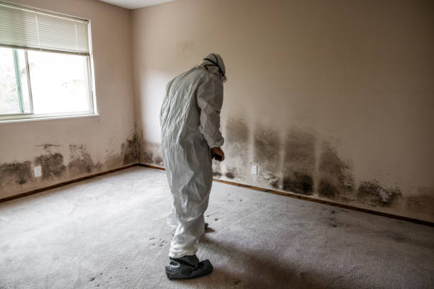 Best Crawl Space Mold Removal  in Compton, CA